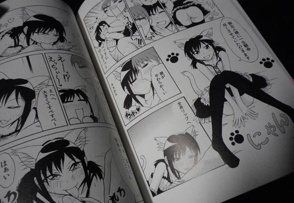 『オタクのための風俗ガイド』より