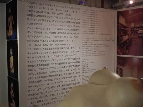 壁には妖しい言葉が写経のように書かれているのだが意味不明
